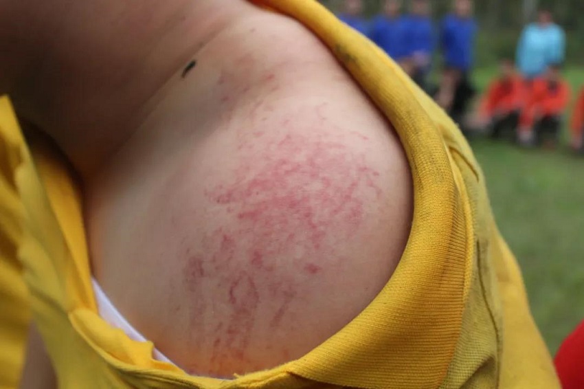 水思源——熔煉團隊、拓展未來！